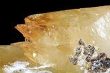 Golden, Twinned Calcite Crystals With Sphalerite - Elmwood Mine #71920-4